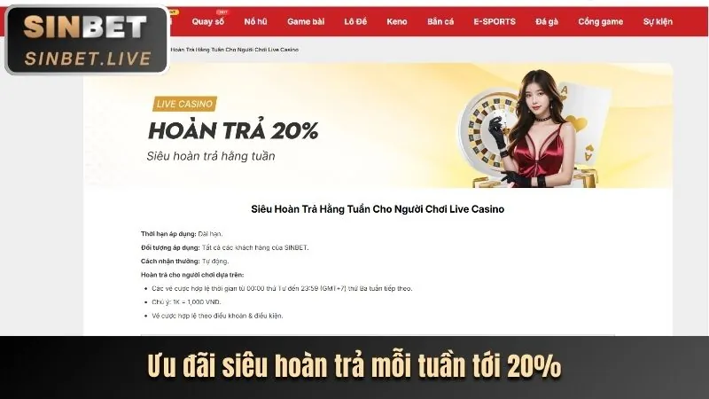Cookie quảng cáo Vin777